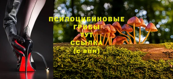 мяу мяу кристалл Инсар