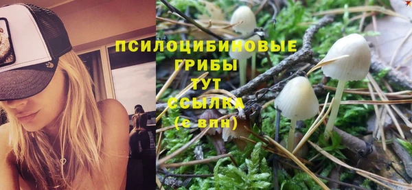 прущая мука Михайловск